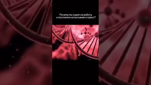 Ограничения