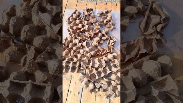 Вессенняя обработка пчёл 🐝 от клеща ВарроаЯкобсона Щавелевой кислотой , дымарь против сублиматора.🥳
