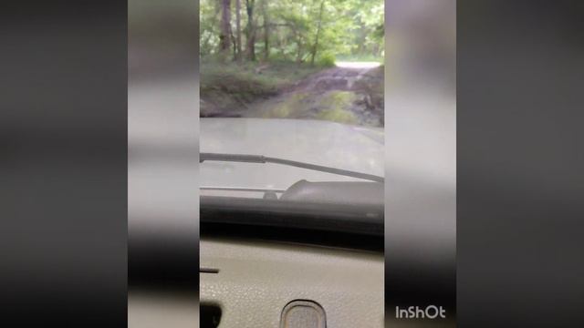 4 я ночь. Скиф едет в лес вместо Глории))