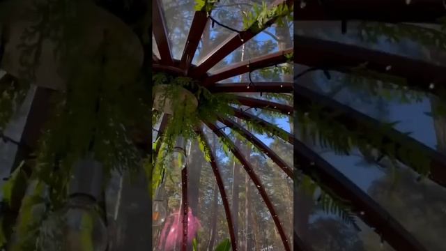 Купольные ресторанчики, купольные беседки