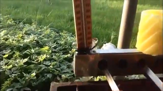 Шашлычница