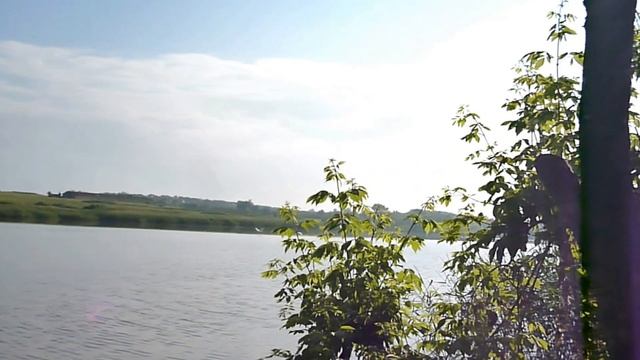 лебеди летят