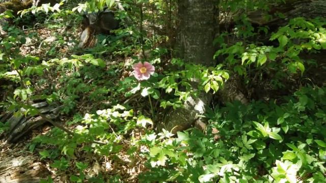 15b75880de0b3b3a52b56482b3a9a050