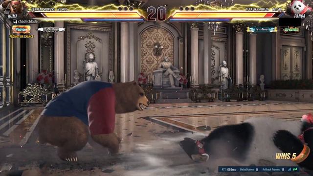 Average Panda Vs Kuma Match | Tekken 8