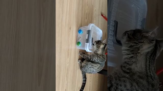 777bd90c4703fb9393e237ea0de28de5