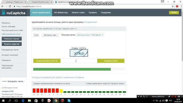 Работа в интернете на вводе капчи.