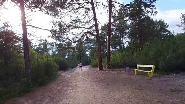 2340993f1e4c95cc12220176d21563cc