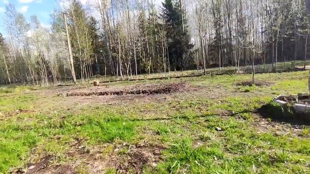 Ровная и красивая дача из густого перекопанного леса