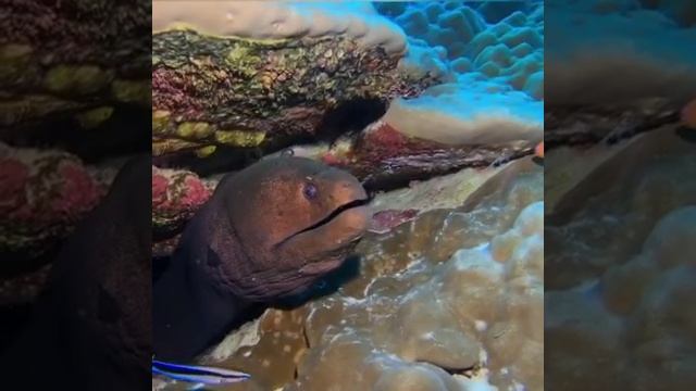 Ce7fe5615ee15c4f92d1f444db1161aa