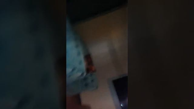 В ресторане Avmilas в Баку. 4