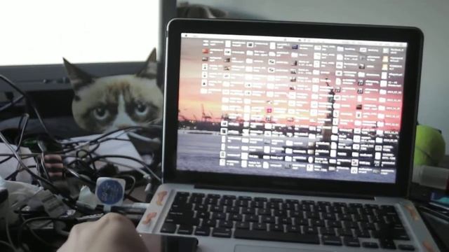 F978e5e21eb7fff13e274d326188d54e