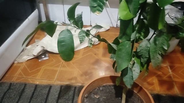 СтройНавигатор