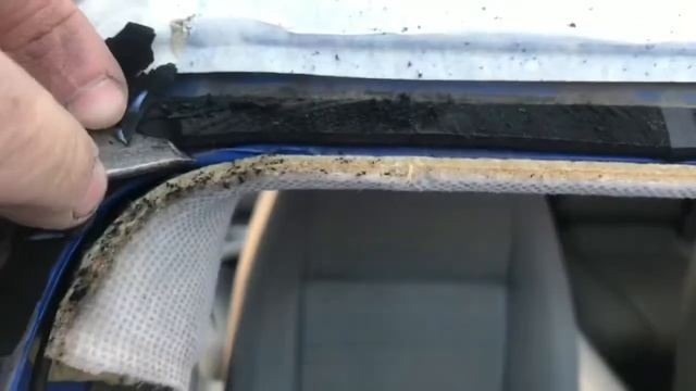 Домашний Взгляд