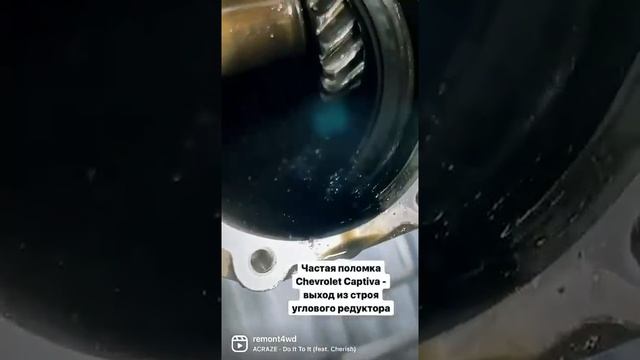 Водительское владение