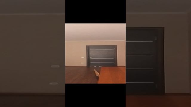 VID_20240606_125636.mp4