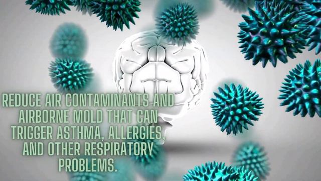 Unlocking The Secret Of Devil's Ivy: Perfect Plant Or Vicious Vine?