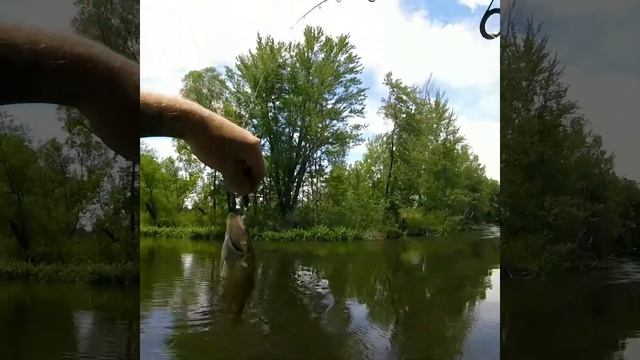 River Fishing