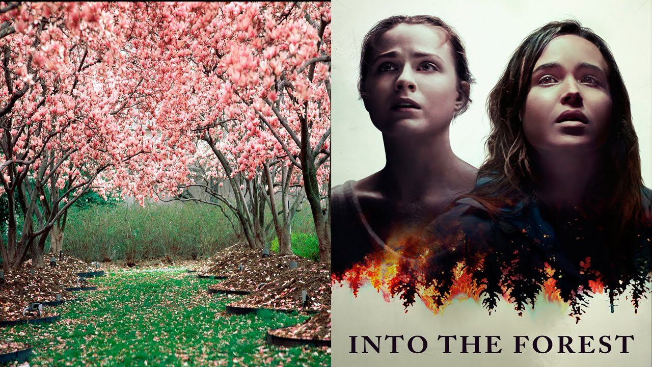 Отзыв на фильм 