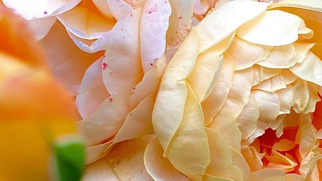 Как снять напряжение в теле.Техника на расслабление.