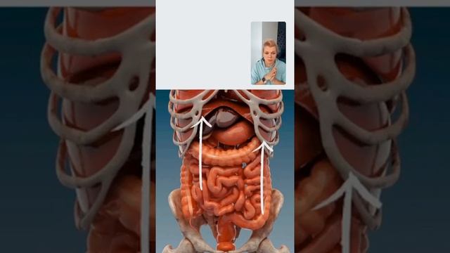 НЕЛЬЗЯ ВТЯГИВАТЬ ЖИВОТ! И причём здесь лимфа и отеки ? Тейпирование диафрагмы