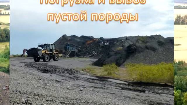 Каникулы натуралистов 