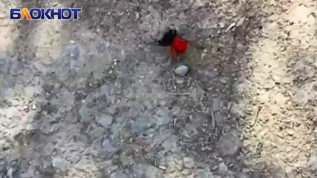 08755f8d664aebe3ed5547300a525cda