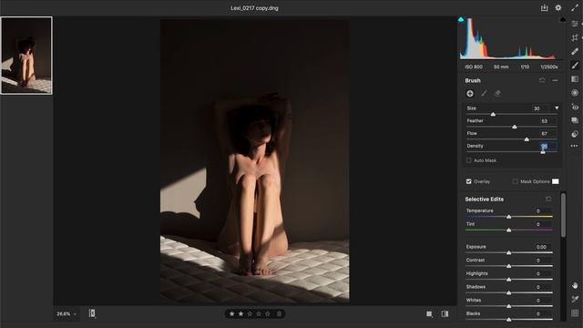 Adobe Camera Raw: Adjustment Brush