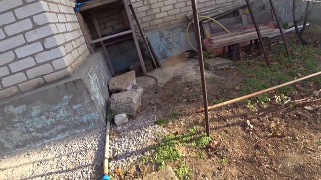 Укрываем розы, ежевику, виноград в зиму.