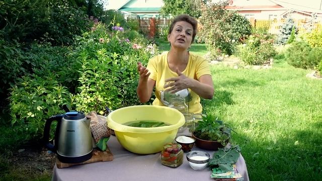 311efa1e4d0b6787415c2d6c0ae28cd9