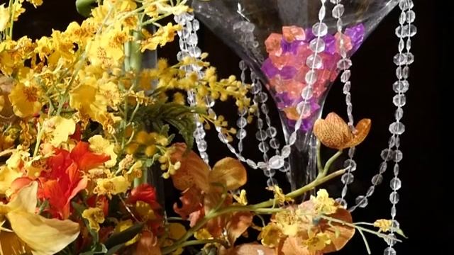 Кашпировский. Светлана Гохман   Нью Йорк 2015