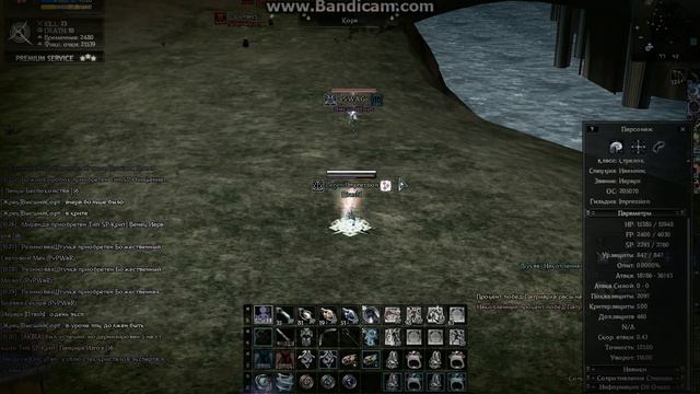 дамаг 55+4 лука и 55+4 посоха Pvpwar X100