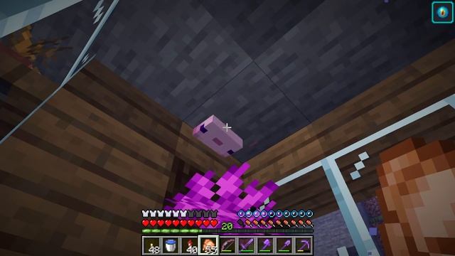 CATTURO Un AXOLOTL Come NUOVO PET!! - Minecraft ITA SURVIVAL #774