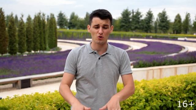 Бесплатный аудит рекламы в интернете