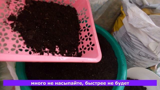 Мои растишки №57/ Почва для рассады/ Готовлю грунт