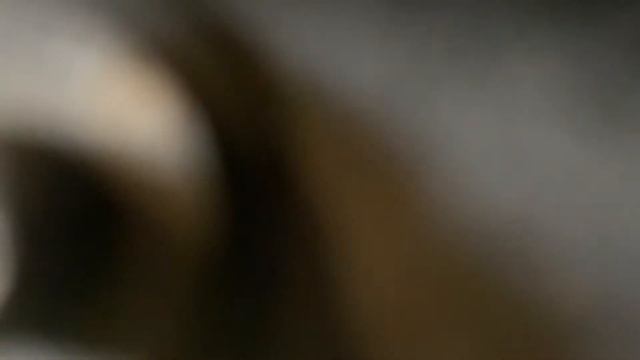 Разборка Peugeot - 207, 1.4 (VIN: VF3WC8FSC34320304) WL58AEX