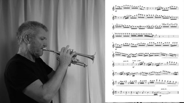 Huug Steketee Adams P1 Piccolo - Demo