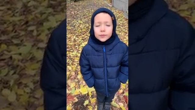 Сказка «Ёжик Василий и красавица Осень»