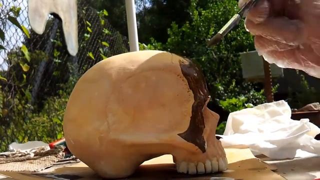 и снова черепок