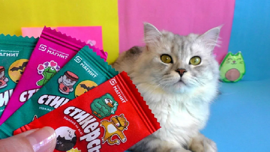 Стикерсы магнит  Распаковка с котом Огромные стикерсы из бумаги своими руками