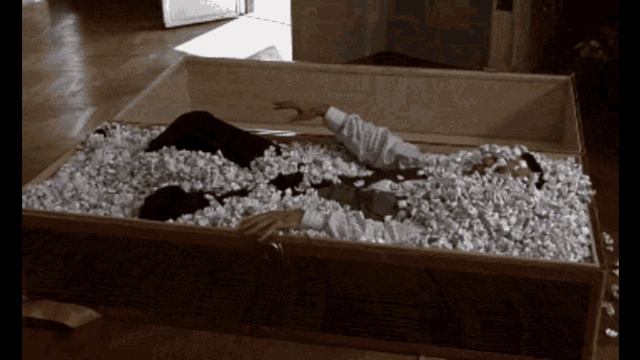 Столичный ЧЕРВОНЕЦ | CHRVNTZ