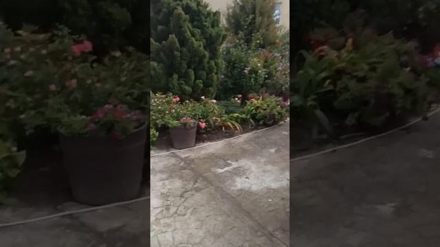 413123632d007a8a35b37d6c9e132af5