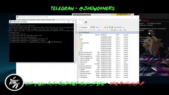 TeamSpeak3 Autostart SKRIPT [ITA-LINUX] [@OpsHaked] [1080HD]