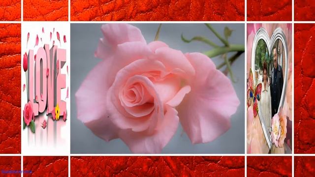 Алексадр Гордеев   Обнимаю! Swetlanaroma@mail Ru