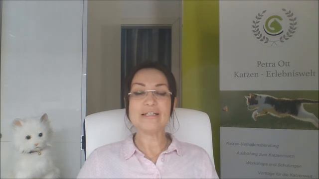 Katzen- Bauanleitung Und Betriebsanleitung/Anatomie Und Physiologie Der Katze