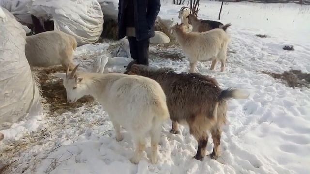 75f53205e817e80a39ac632d4bfc538a