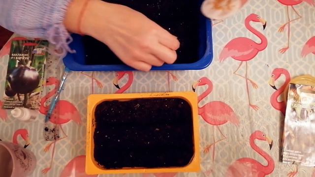 ПОСЕВ СЕМЯН БАКЛАЖАНОВ. ЛЁГКИЙ, НАДЁЖНЫЙ СПОСОБ! СЕЗОН (2020)!