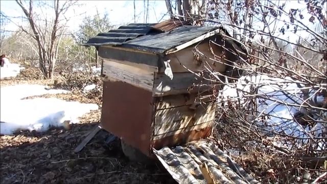 23 апреля, в Закатове ещё лежит снег!??⛄?????