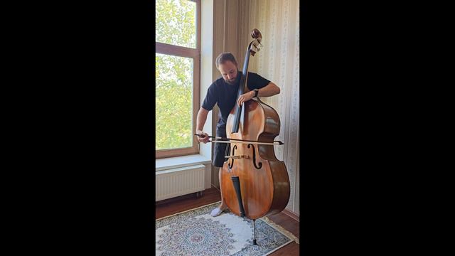 Контрабас №101
