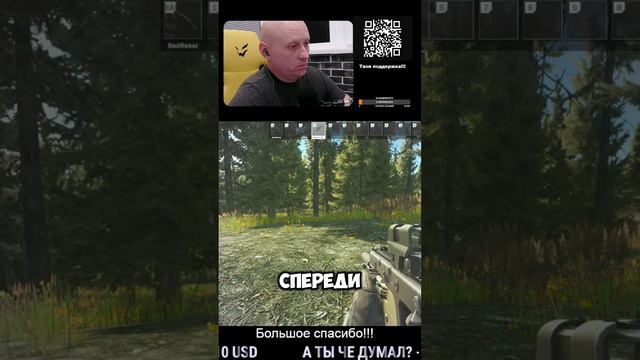 лес #shorts #tarkov #escape #from