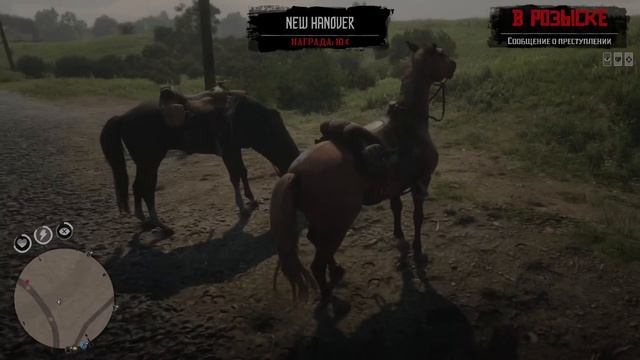 Конь в пальто